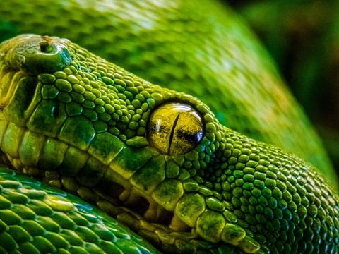 Belajar SQLAlchemy ORM dengan Python: Panduan Lengkap Mengelola Database Tanpa Menulis SQL Manual